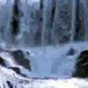  Andreas Vollenweider- Hirzel  