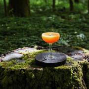 Quel bar nel bosco  è un vero incanto