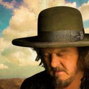 Zucchero: in arrivo un nuovo progetto