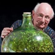 Il mistero del giardino che da oltre cinquant'anni è sigillato in bottiglia