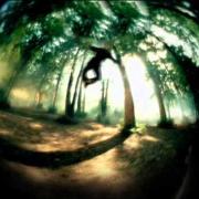 Ronan Keating - Life Is A Rollercoaster