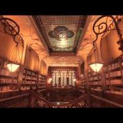 Salva la libreria di Harry Potter!