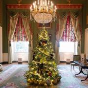 Svelato l'albero di Natale della Casa Bianca: il video