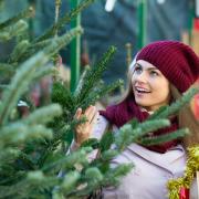 Albero di Natale vero o artificiale? Le risposta non è quella che vi aspettereste
