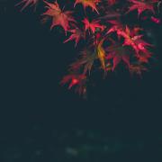 Il primo giorno d'autunno 2019 è il 23 settembre. Ecco perché