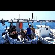 Tutta le bellezza del Cilento: il video!