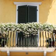 Fastidiosi fracassoni o insospettabili nuovi amici? Ecco, a sorpresa, come vediamo i nostri vicini di casa! 