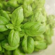 Genova: il trionfo della cucina mediterranea tra terra e mare