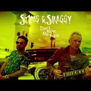 Festival di Sanremo: i primi due super ospiti internazionali sono Sting e James Taylor