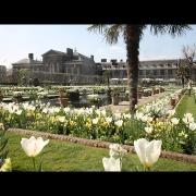 Principessa Diana: in suo onore i giardini di Kensington si coprono di fiori bianchi