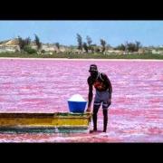 Scoperto il mistero del lago rosa
