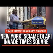 L'incredibile video di uno sciame di api a Times Square.