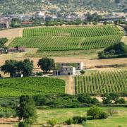 Le meraviglie del Giardino dei Sonagli in Calabria, tra natura e musica