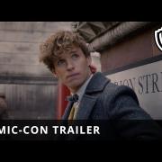 J.K. Rowling  mania: al cinema arriva il nuovo Animali Fantastici, nei negozi il make up di Harry Potter