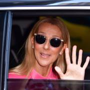 Celine Dion: i fan preoccupati per la sua salute