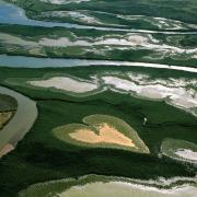 Pianeta Mare - Yann Arthus-Bertrand / Brian Skerry