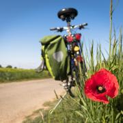 Tutta la bellezza di Genova in bicicletta