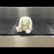 Peluche smarriti? Ecco l'iniziativa dell'aeroporto di Glasgow che farà felici i bambini