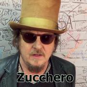 Zucchero ti invita a non abbandonare gli animali: guarda il video