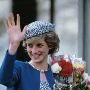Lady Diana: all'asta il ritratto che non le piaceva affatto