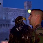 Ecco l'aquila Malizia:  l'allenamento per la festa nazionale monegasca