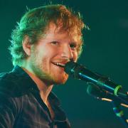 L'amore di Ed Sheeran per l'ambiente: ha costruito una foresta intorno casa sua