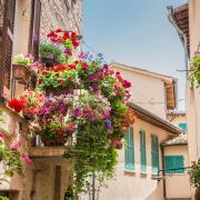 Balconi fioriti e splendide piante: ecco come fare