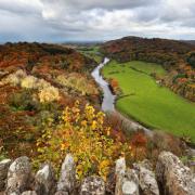 Foliage. In Inghilterra il primo percorso ufficiale per contemplare la magia dell'autunno 