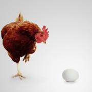 È nato prima l’uovo o la gallina? Finalmente la risposta!