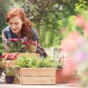 Il giardinaggio? Regala benessere e serenità