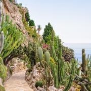 Un Giardino Esotico tra cielo e mare, nel Principato di Monaco