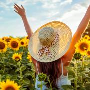 Un agricoltore pianta 2 milioni di girasoli per regalare gioia alle persone