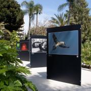 Uomo – Fauna Selvatica: destini incrociati, territori condivisi