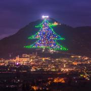 L'albero di Natale più grande e famoso del mondo: ecco dove si trova