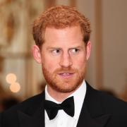 Harry lancia la stretta di braccio: E saluta così Craig David
