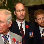 E ora il Principe Harry vorrebbe far pace con Re Carlo e William 