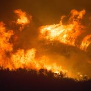 Gli incendi non si arrestano e chi si batte per la foresta muore.