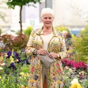 Judi Dench: a 85 anni sulla copertina di Vogue. Perché la bellezza non ha età