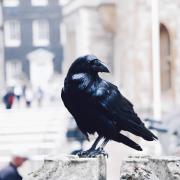 Tristezza a Londra per la scomparsa della regina  