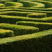 Giardini e incanti: il fascino arcano dei labirinti vegetali