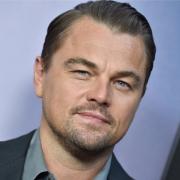 Anche Leonardo DiCaprio in prima linea: il suo aiuto concreto