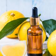 #iorestoacasa: i rimedi naturali per purificare l'aria di casa