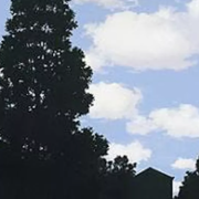 60 milioni di dollari per questo quadro di Magritte: è record!