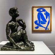 Matisse | Metamorfosi