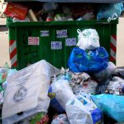 Roma: dopo l'emergenza rifiuti, l'allarme sanitario…