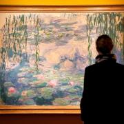 Da  soli con Le Ninfee  di Monet per un momento di pura contemplazione: ora è possibile!