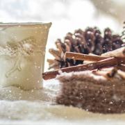 Le migliori tisane da gustare durante le feste