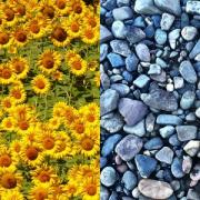 2021: i colori dell'anno esprimono luce e speranza
