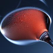 Vino rosso: efficace contro il virus?
