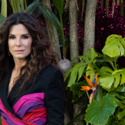 Sandra Bullock lascia le scene